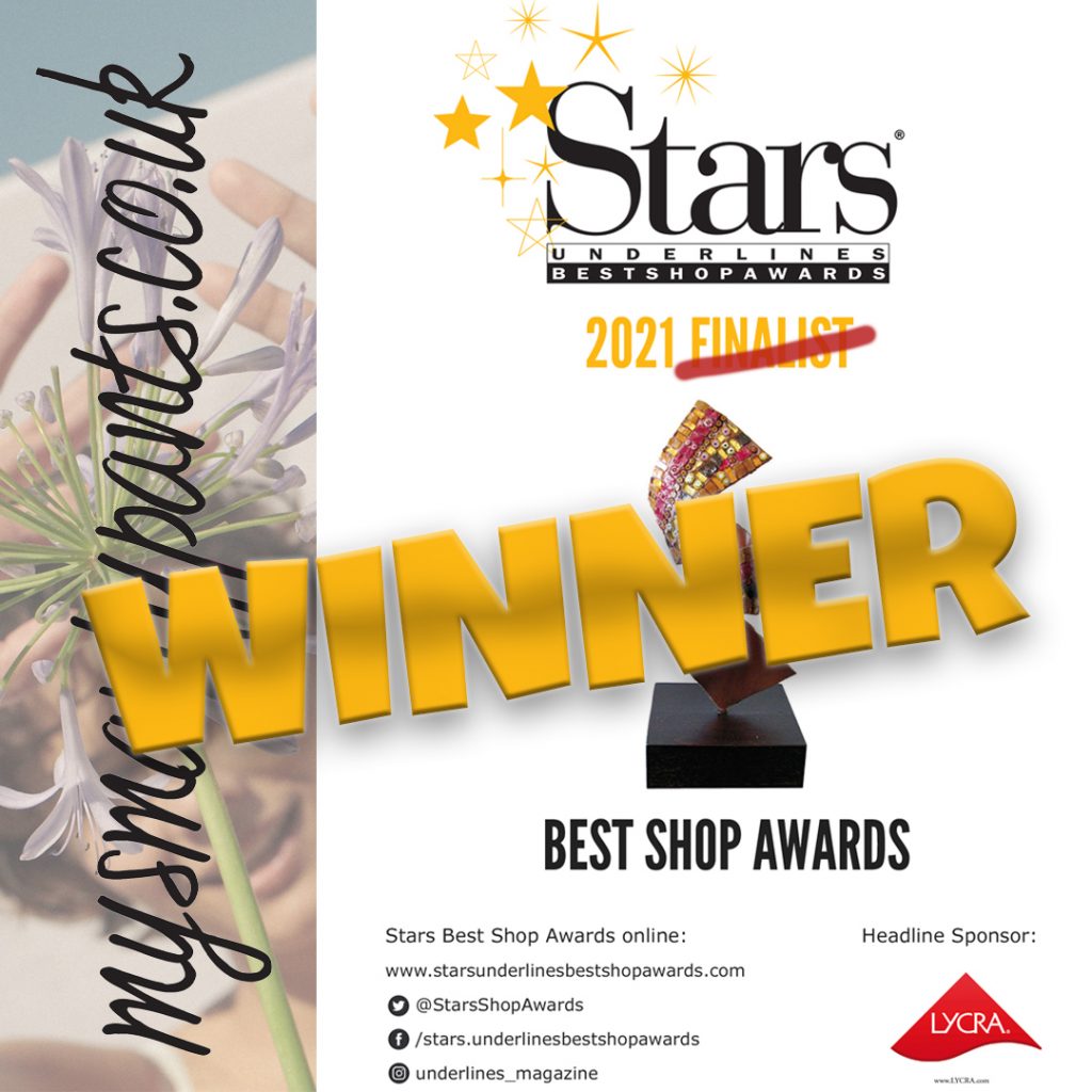 Stars Underlines best shop awards winners